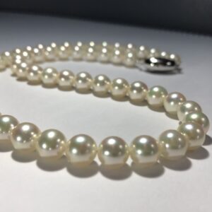 Akoya Pearl necless (アコヤ真珠ネックレス）