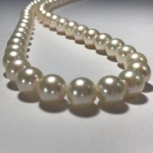 Akoya Pearl necless (アコヤ真珠ネックレス）