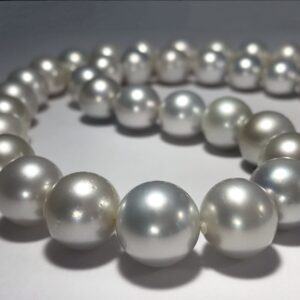 Akoya Pearl Ring (アコヤ真珠リング）